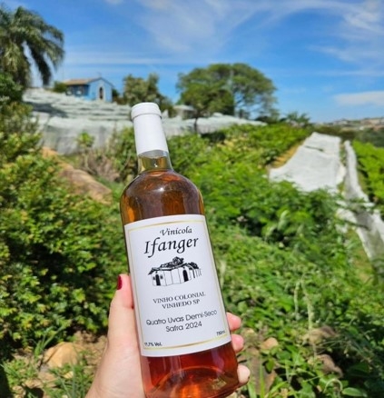 Turismo vinicola-familia-ifanger